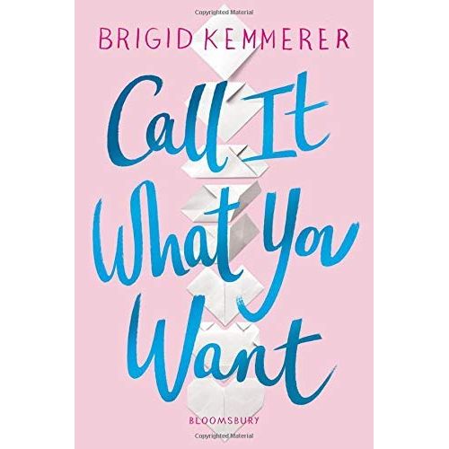 Brigid Kemmerer 3 Books Collecion Set (Letters to the Lost, More Than We Can Tell, Call It What You Want) - The Book Bundle