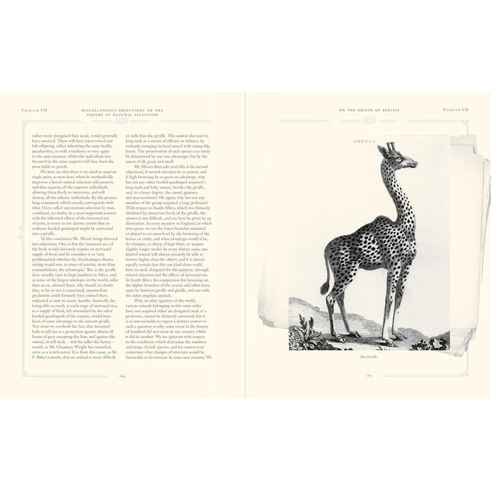 On the Origin of Species by Charles Darwin (Arcturus Epic Classics) - The Book Bundle