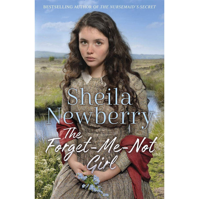 Sheila Newberry 3 Books Collection Set (The Gingerbread Girl, The Punch and Judy Girl, The Forget-Me-Not Girl)