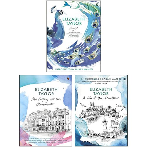 Elizabeth Tayloroks 3 Books Collection Set (Angel, A View Of The Harbour, Mrs Palfrey At The Claremont) - The Book Bundle