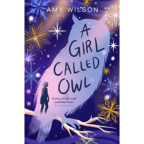 A Girl Called Owl By Amy Wilson - The Book Bundle
