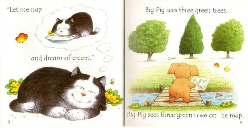 Usborne Phonics Readers 12 Books Collection Set by Stephen Cartwright - Fiction - Paperback