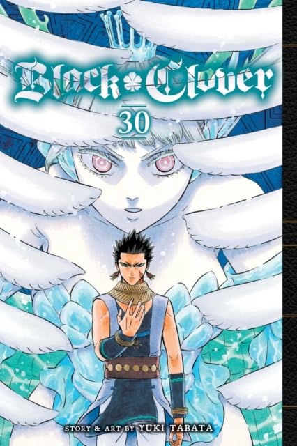 Black Clover Vol 26-30 5 Books Collection Set by Yuki Tabata - Fiction - Paperback
