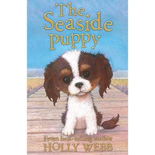 The Seaside Puppy: 33 (Holly Webb Animal Stories, 33) - The Book Bundle