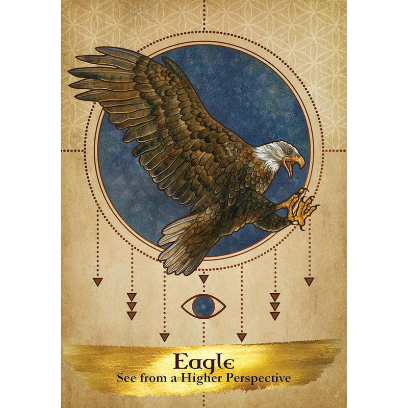 Angels and Ancestors Oracle Cards deck by Kyle Gray and Lily Moses, 55 colorful tarot-style cards with guidebook, shown fanned out.