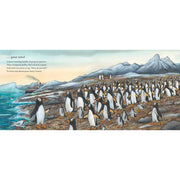 Jonty Gentoo: The Adventures of a Penguin by Julia Donaldson, Axel Scheffler Hardcover - The Book Bundle