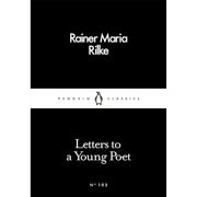 Only Dull,White Nights, My Life, Flush, Death of Ivan, Letters, Tale Heart , Yellow Wall-Paper, Meek One, Life of a Stupid Man 10 Books Set - The Book Bundle