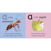 The Animal Alphabet Library Collection 26 Books Box Set - The Book Bundle