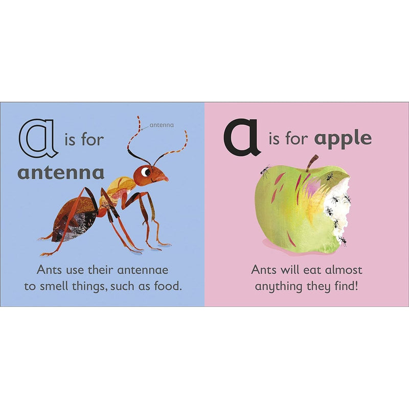 The Animal Alphabet Library Collection 26 Books Box Set - The Book Bundle