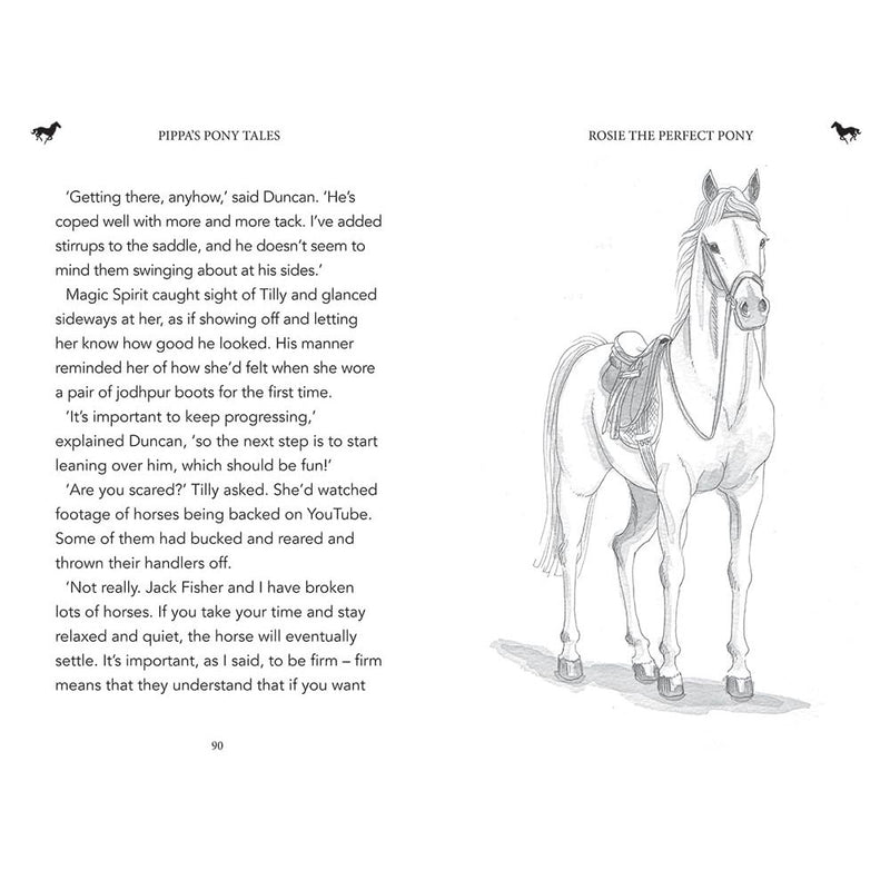 Rosie the Perfect Pony (Pippa's Pony Tales) by Pippa Funnell