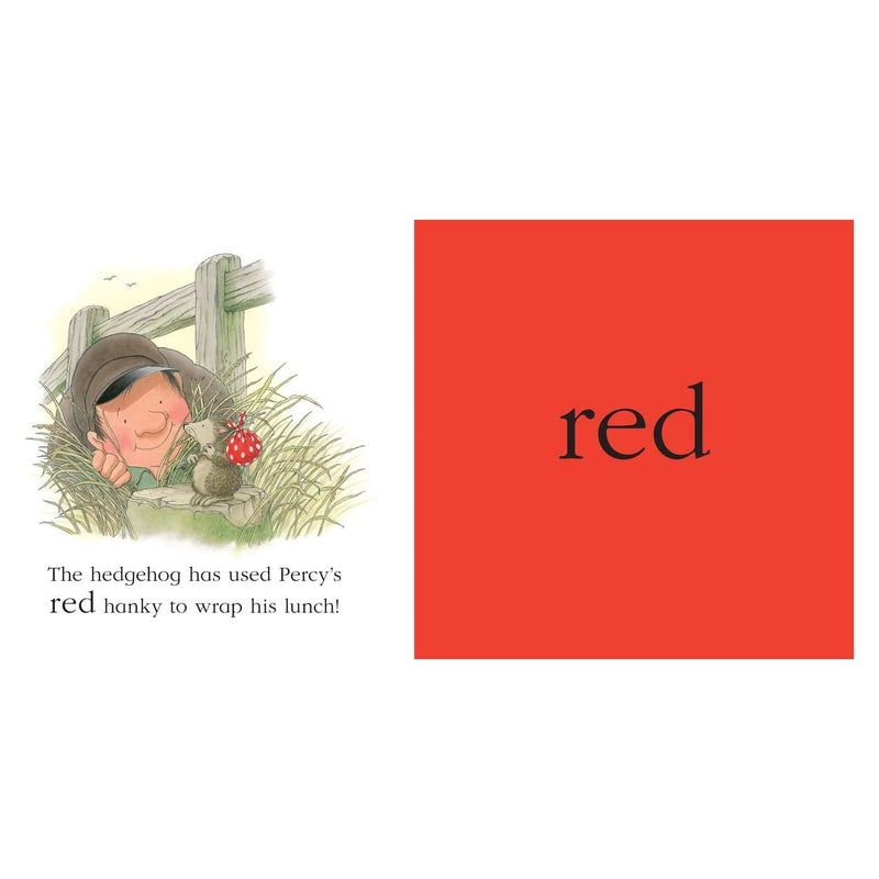 Percy the Park Keeper Early Learning collection 4 Picture Books Set ABC, 123, Colours & Opposites - The Book Bundle