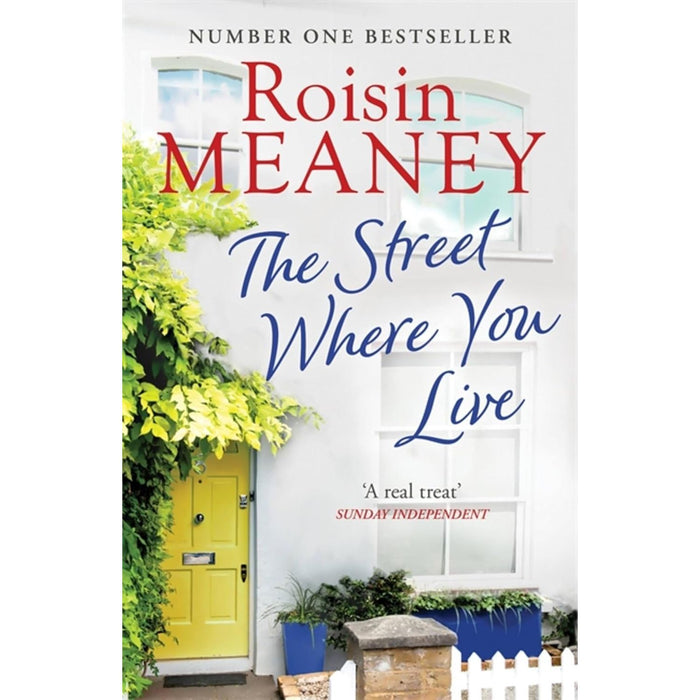 Roisin Meaney Collection 6 Books Set (Life Before Us, Moving On, The Restaurant, The Book Club, The Street Where You Live & The Reunion)