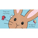 That's not my bunny...: An Easter And Springtime Book For Babies and Toddlers by Fiona Watt - The Book Bundle