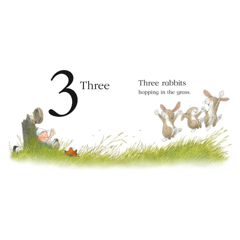 Percy the Park Keeper Early Learning collection 4 Picture Books Set ABC, 123, Colours & Opposites - The Book Bundle
