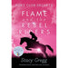 Flame and the Rebel Riders (Pony Club Secrets, Book 9) - The Book Bundle