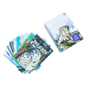 Set of 10 hardback children's books on animals and habitats by Jasmine Brooke, perfect for ages 3 to 8, from Fox Eye Publishing.