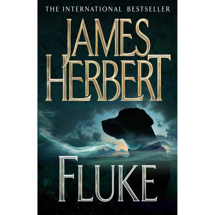 James Herbert 5 Books Collection Set (The Rats, Lair, Domain, Haunted, Fluke) - The Book Bundle