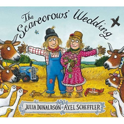 Julia Donaldson 5 Books Collection Set (Zog and the Flying Doctors, Tiddler, The Scarecrows' Wedding, Stick Man, The Ugly Five) - The Book Bundle