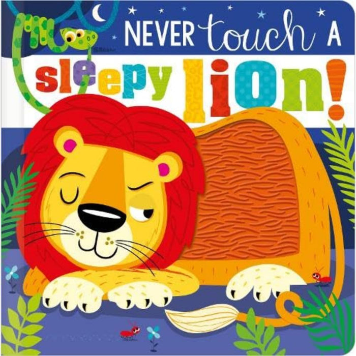 Never Touch a Sleepy Lion! (Touch and Feel Board Book) - The Book Bundle