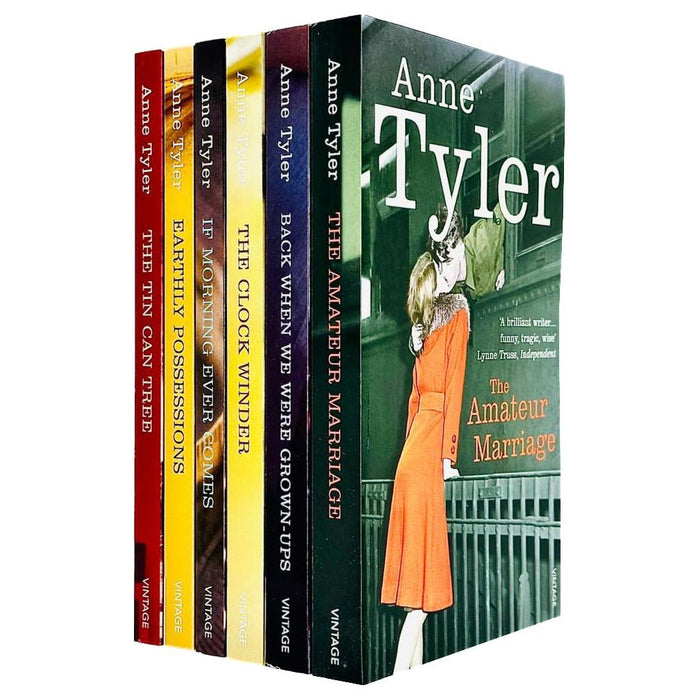 Anne Tyler 6 book collection - 'the Tin Can Tree' 'Earthly Possessions' 'If Morning Ever Comes, - The Book Bundle