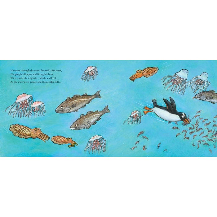 Jonty Gentoo: The Adventures of a Penguin by Julia Donaldson, Axel Scheffler Hardcover - The Book Bundle