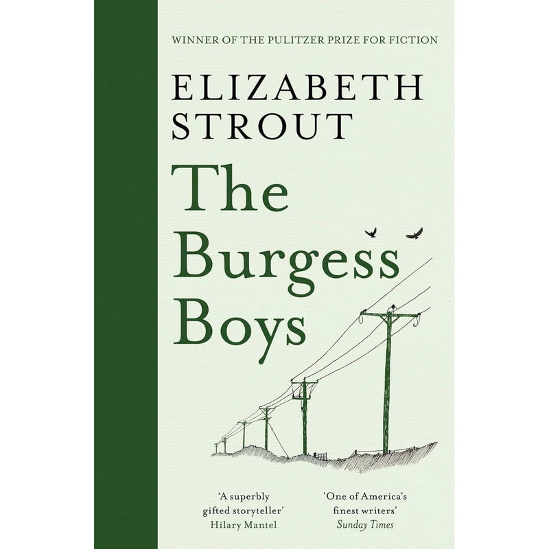 Elizabeth Strout Collection 3 Books Set (Amy & Isabelle, Abide With Me, The Burgess Boys) - The Book Bundle