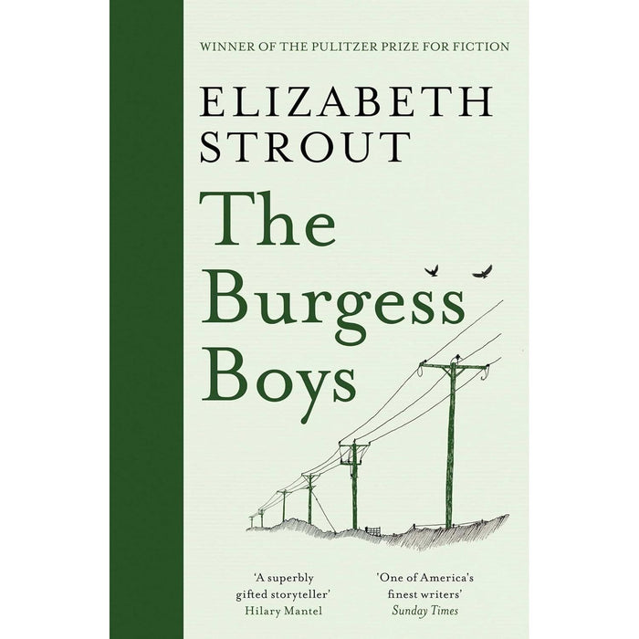 Elizabeth Strout Collection 3 Books Set (Amy & Isabelle, Abide With Me, The Burgess Boys) - The Book Bundle