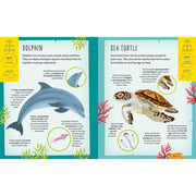 My Incredible Ocean Expedition STEM Explorer 3D model and book kit by Anita Ganeri, featuring ocean-themed educational activities and illustrations.