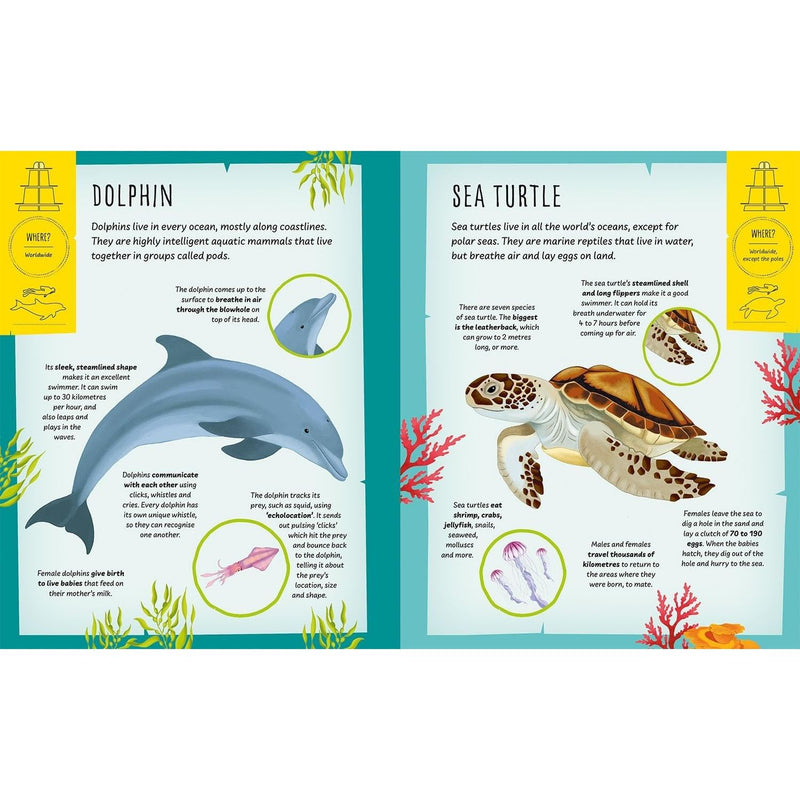My Incredible Ocean Expedition STEM Explorer 3D model and book kit by Anita Ganeri, featuring ocean-themed educational activities and illustrations.