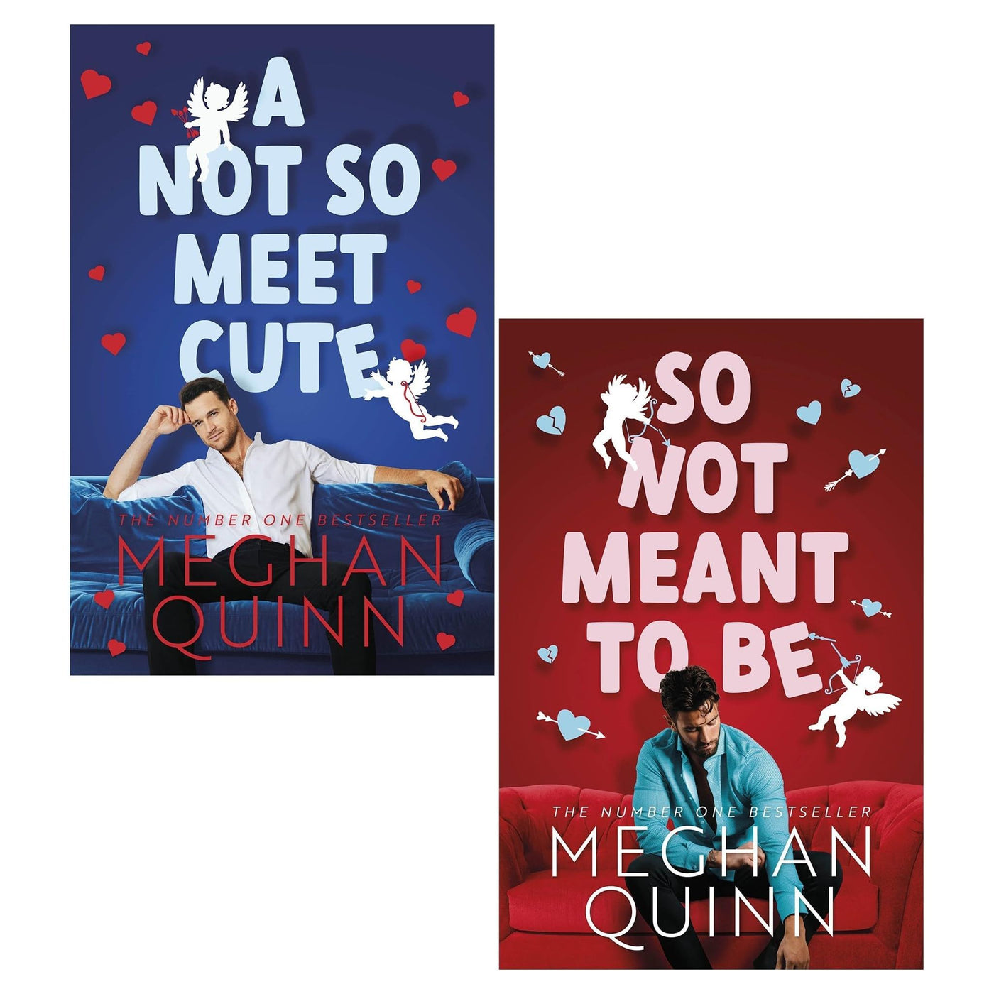 Cane Brothers Series by Meghan Quinn 2 Books Set (So Not Meant To Be ...