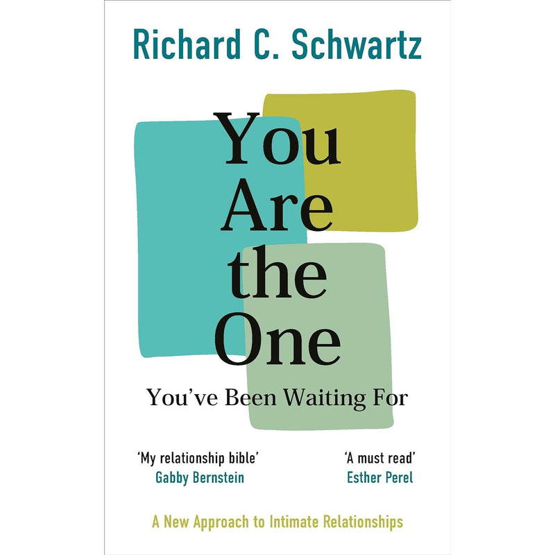 Richard Schwartz 3 Books Set (No Bad Parts, Introduction to Internal Family Systems, You Are the One You’ve Been Waiting For) - The Book Bundle