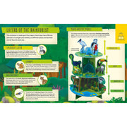 My Incredible Rainforest Expedition STEM Explorer book and 3D model kit by Susan Mayes, showcasing rainforest scenes and educational models.
