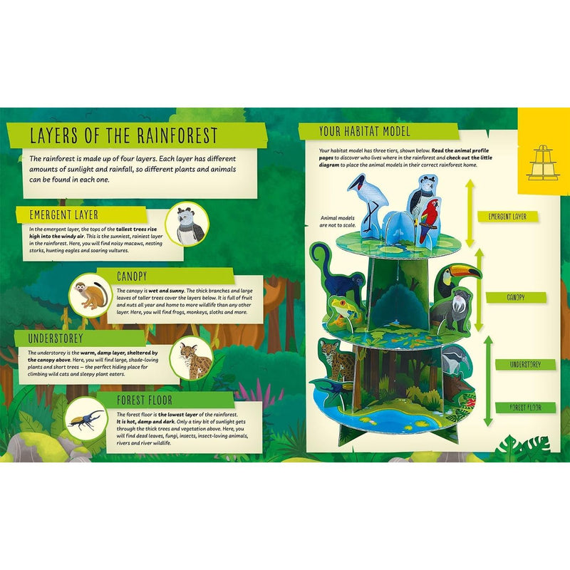 My Incredible Rainforest Expedition STEM Explorer book and 3D model kit by Susan Mayes, showcasing rainforest scenes and educational models.