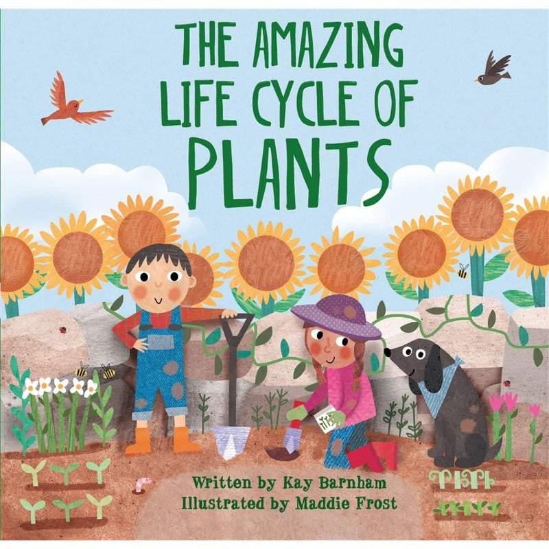Look and Wonder Series Collection 3 Books Set By Kay Barnham (A Stroll Through the Seasons, The Amazing Life Cycle of Butterflies & The Amazing Plant Life Cycle Story) - The Book Bundle