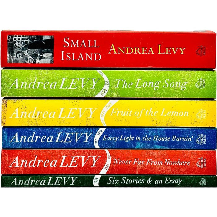 Andrea Levy Collection 6 Books Set (Small Island, The Long Song, Fruit of The Lemon,  Every Light In House Burning) - The Book Bundle