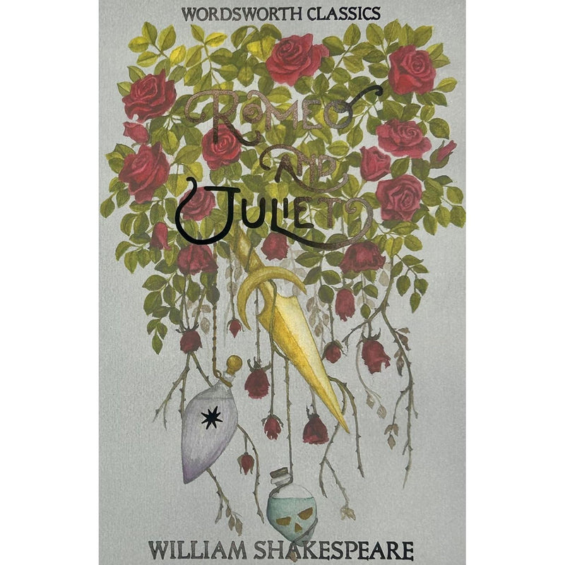 Romeo and Juliet 2 Books Bundle Collection (GCSE English Shakespeare Text Guide - Romeo and Juliet, Romeo and Juliet) - The Book Bundle