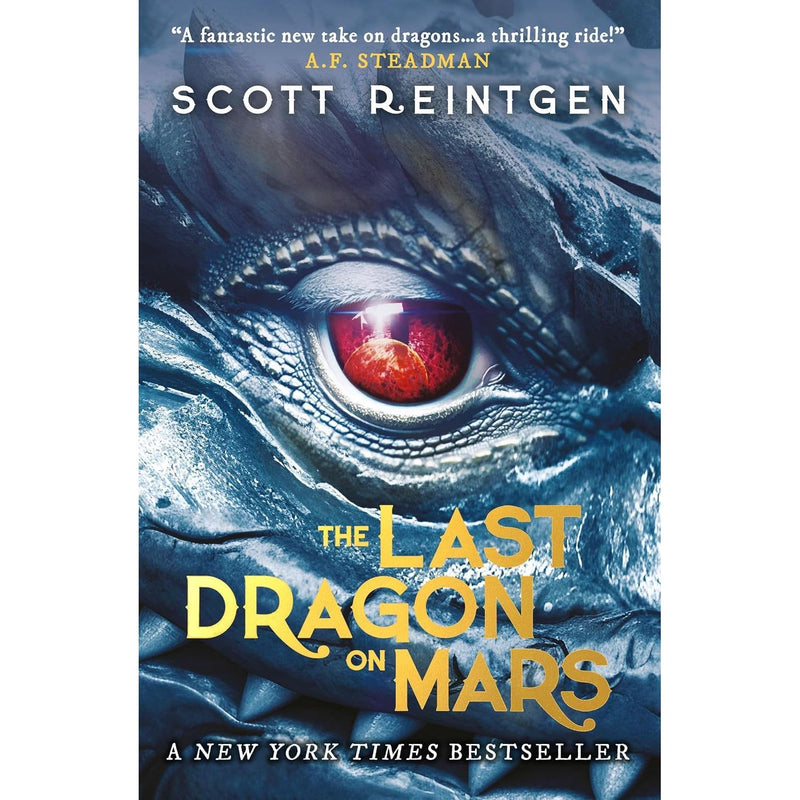Dragonships Trilogy 3 Books Collection Set By Scott Reintgen - Fiction - Paperback