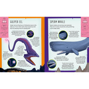 My Incredible Ocean Expedition STEM Explorer 3D model and book kit by Anita Ganeri, featuring two windmill illustrations and educational content.