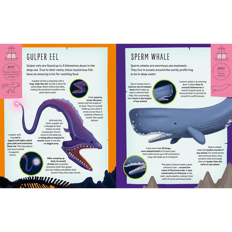 My Incredible Ocean Expedition STEM Explorer 3D model and book kit by Anita Ganeri, featuring two windmill illustrations and educational content.