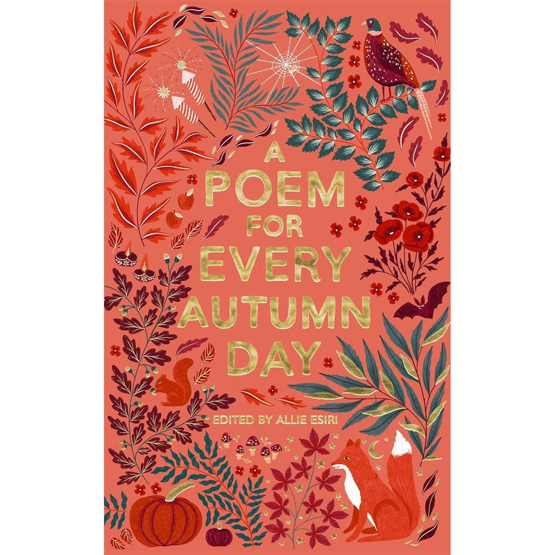 A Poem for Every Day and Night of the Year Collection 4 Books Set by Allie Esiri - The Book Bundle