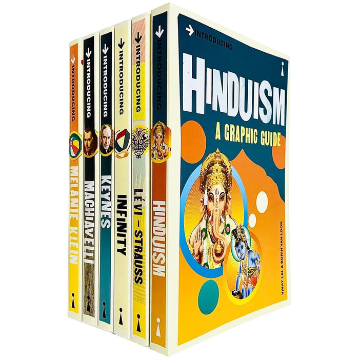 A Graphic Guide Introducing 6 Books Collection Set (Descartes, Hinduism, Islam, Mathematics, Shakespeare, Time - The Book Bundle