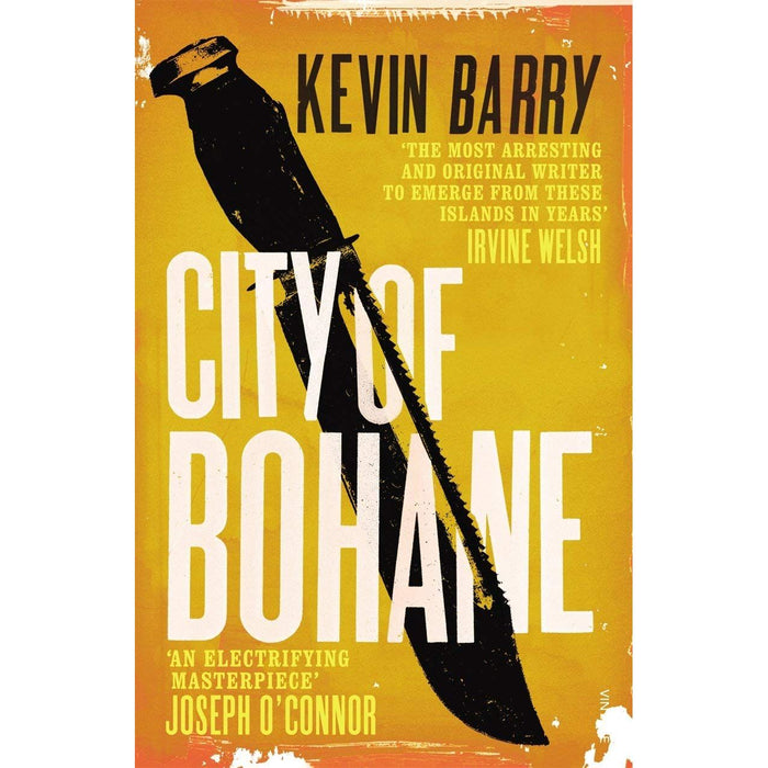 Kevin Barry Collection 4 Books Set (Night Boat To Tangier, Beatlebone, City of Bohane, There Are Little Kingdoms) - The Book Bundle