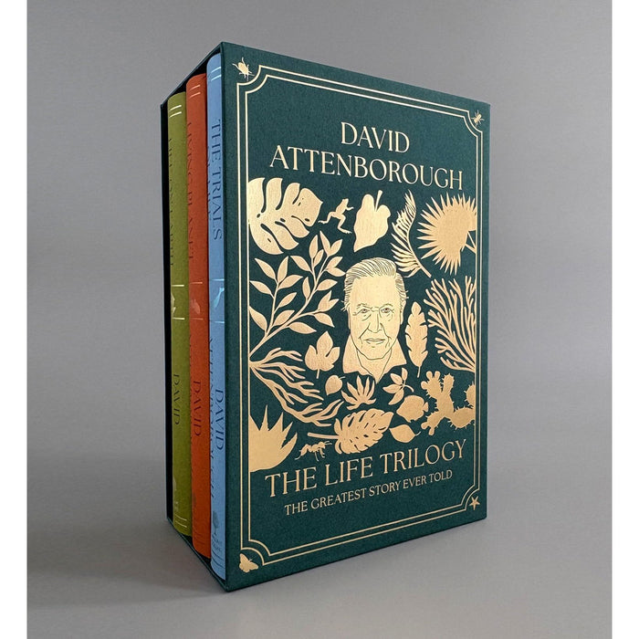 The Life Trilogy Boxset: The Greatest Story Ever Told