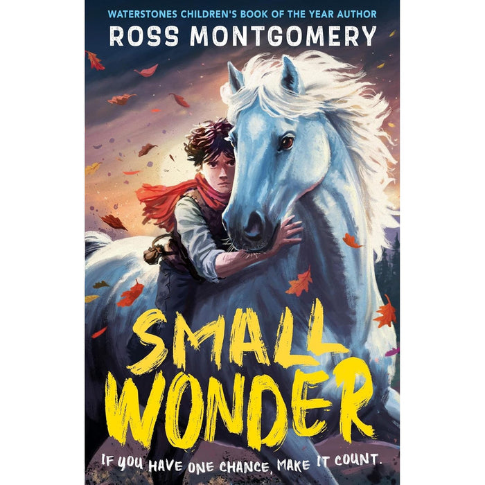 Ross Montgomery Collection 5 Books Set (The Midnight Guardians, The Chime Seekers, Spellstone & More)