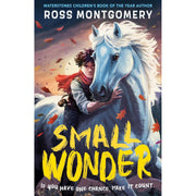 Set of five Ross Montgomery books including The Midnight Guardians, The Chime Seekers, and Spellstone, with colorful cover art.