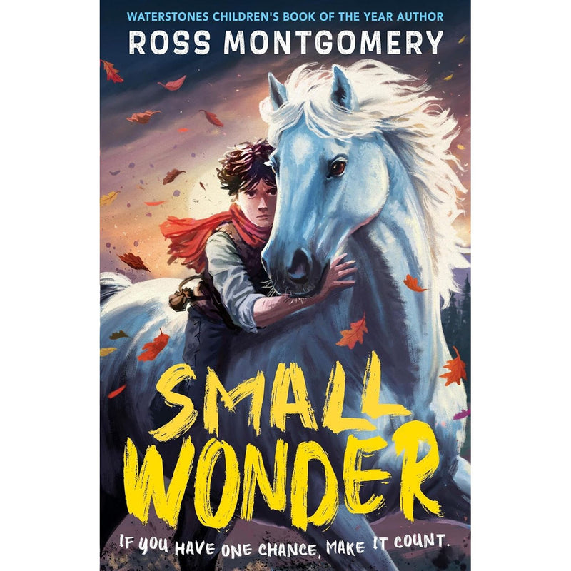 Set of five Ross Montgomery books including The Midnight Guardians, The Chime Seekers, and Spellstone, with colorful cover art.