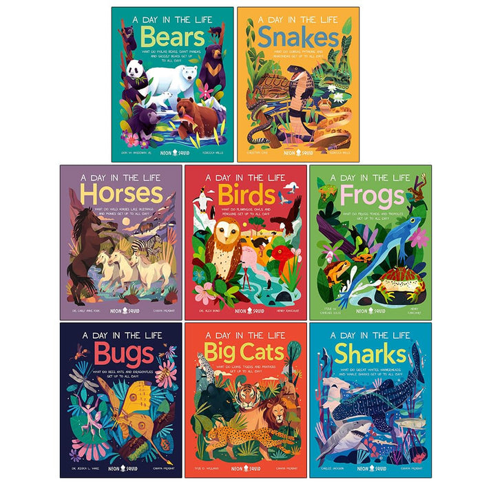 A Day in the Life Series 8 Books Collection Set (Bugs, Big Cats, Sharks, Horses, Birds, Frogs, Bears, Snakes) - The Book Bundle