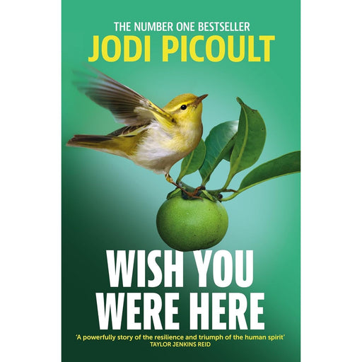 Wish You Were Here: a completely gripping, unputdownable novel from bestselling author of Mad Honey by Jodi Picoult - The Book Bundle