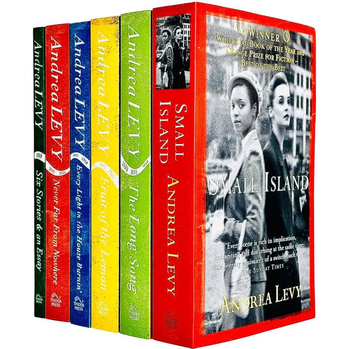 Andrea Levy Collection 6 Books Set (Small Island, The Long Song, Fruit of The Lemon,  Every Light In House Burning) - The Book Bundle