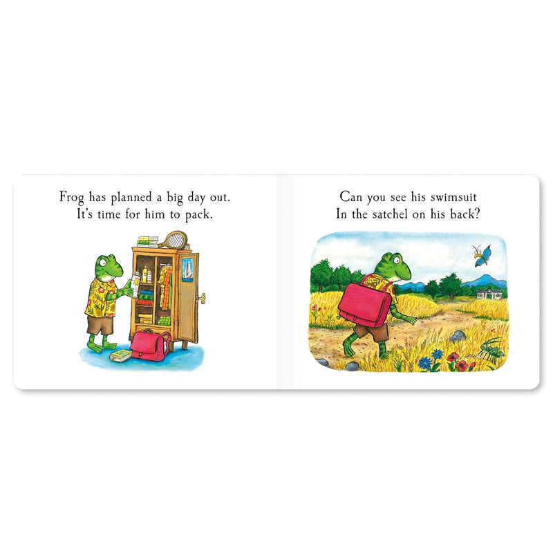 Frog's Day Out: A fun lift-the-flap book – the perfect summer holiday story for kids by Julia Donaldson